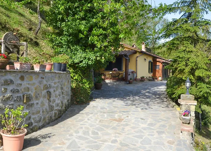 Beautiful In With Wifi *